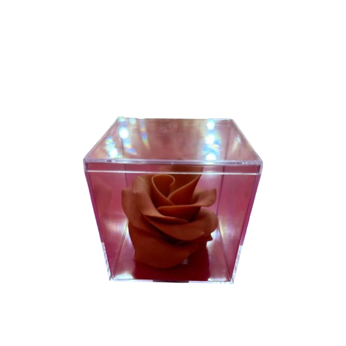 Rose en chocolat Écrin transparent